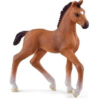 Oldenburger Foal image