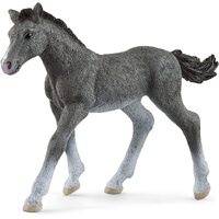 Trakehner Foal image