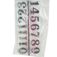 25mm Silver Arabic Numerals image