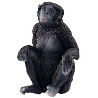 Bonobo Female image