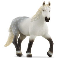 Percheron Mare image