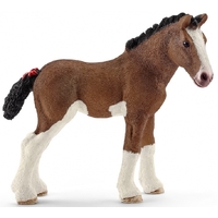 Clydesdale Foal image