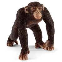 Chimpanzee image