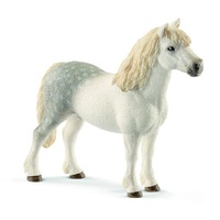 Welsh Pony Stallion image