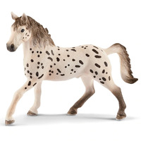 Knabstrupper Stallion image