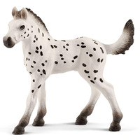 Knabstrupper Foal image