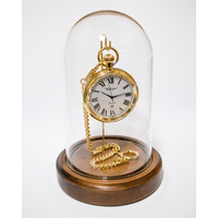 150mm Walnut Pocket Watch Glass Dome Display image