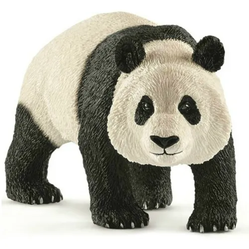 Giant Panda (Male)