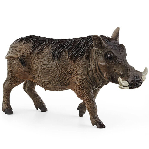 Warthog